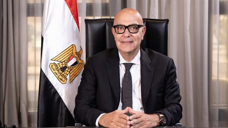  المهندس أحمد صبور، عضو مجلس الشيوخ
