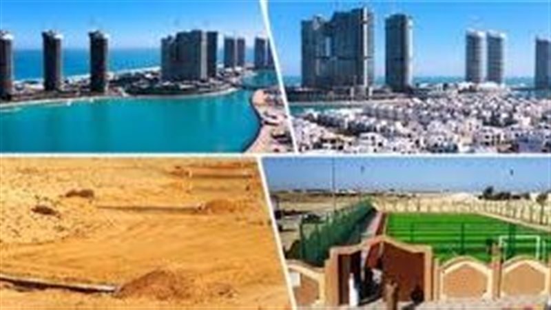 ارشيفية