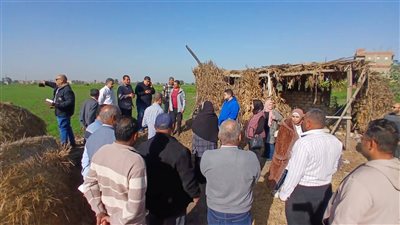 محافظ الدقهلية يكلف لجنة بمراقبة المشروعات الاستثمارية المنفذة لخدمة الإنتاج الزراعي والحيواني