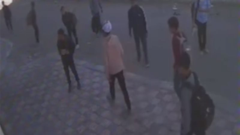 الفيديو