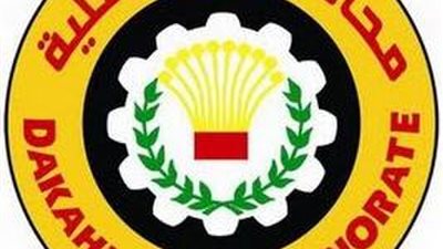 الدقهلية توفر أكثر من 3000 فرصة عمل.. وظائف برواتب تصل إلى 11 ألف جنيه