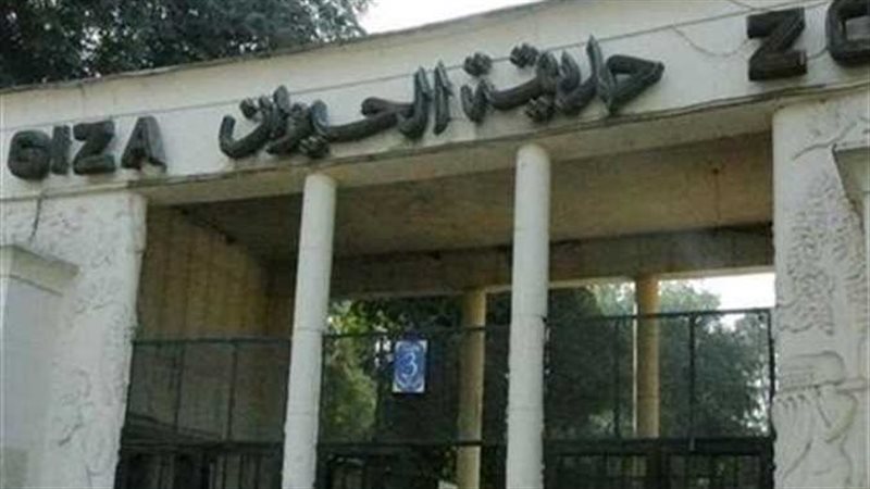 موعد افتتاح حديقة الحيوان
