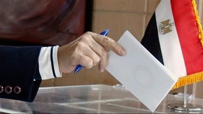 بدء انتخابات الدوائر الـ30 الملغاة.. و100 ألف جنيه عقوبة خرق الصمت