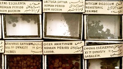 المتحف المصري يحتفل بإدراج الطبق الوطني ضمن قائمة التراث العالمي