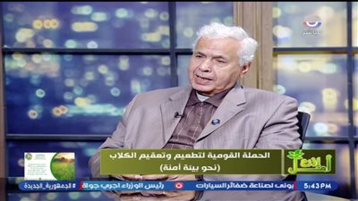 جمعية الرفق بالحيوان: 40 مليون كلب ضال في شوارع مصر والشلاتر تحل الأزمة