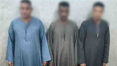 سقوط 3 أشخاص بحوزتهم كروت دعاية بمحيط إحدى اللجان الانتخابية بالأقصر