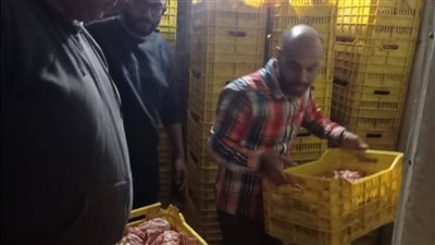 ضبط 45 طن لحوم ودواجن فاسدة وتحصين 208 آلاف رأس ماشية خلال شهر بالجيزة