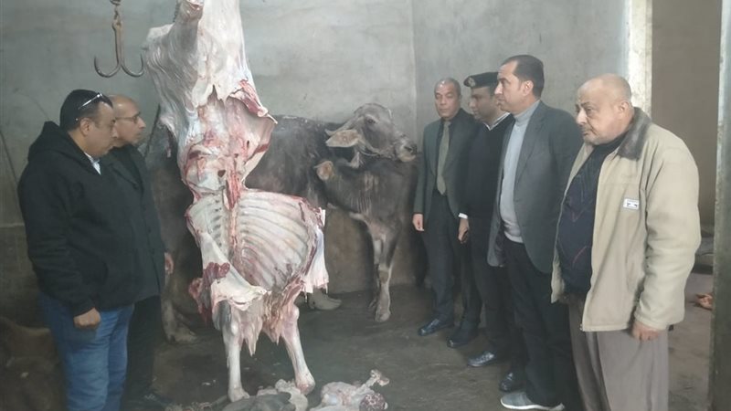 جانب من الحملات التفتيشية 