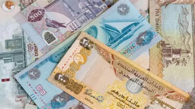 الدرهم الإماراتي 