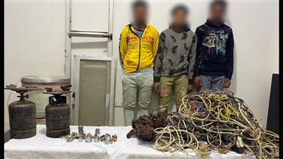 ضبط 3 متهمين بسرقة شقة بالمنيا بعد تداول فيديو على السوشيال ميديا