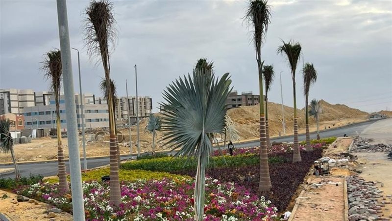 جانب من التطوير