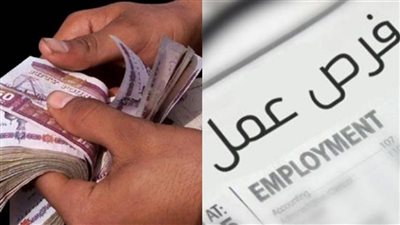 فرص عمل بـ 6000 آلاف جنيه في محافظة الوادي الجديد.. الحق قدم