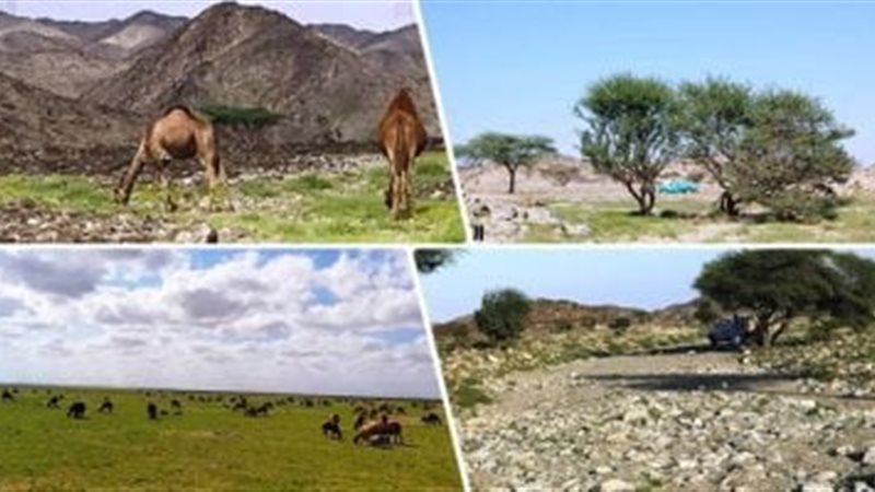 المحميات الطبيعية 