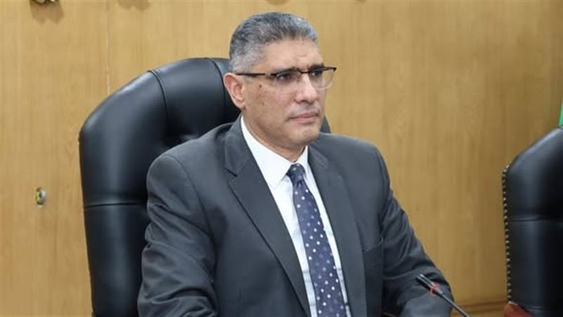 محافظ الجيزة 