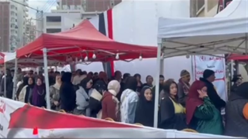 انتخابات مجلس النواب 2025
