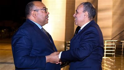 مصر وتنزانيا تعززان الشراكة الاستراتيجية.. مباحثات موسعة حول الاستثمار 
