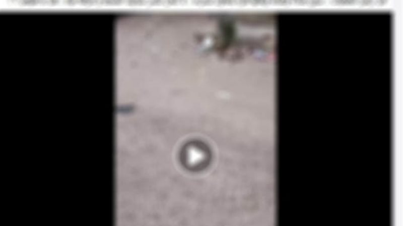 المنشور المتداول 