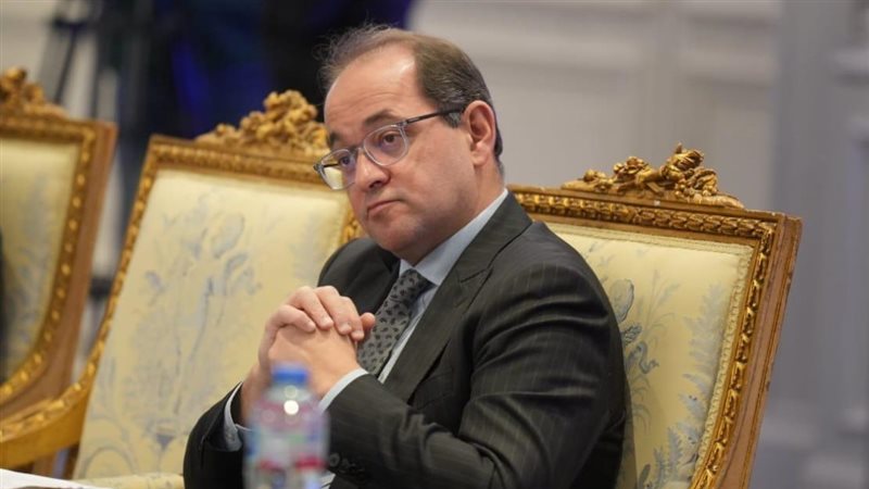 أحمد كجوك وزير المالية
