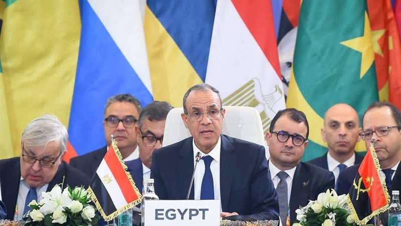 وزير الخارجية المصري 