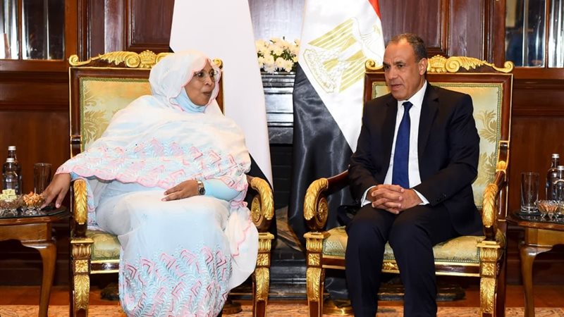 وزير الخارجية يلتقي وزيرة شئون مجلس الوزراء السوداني