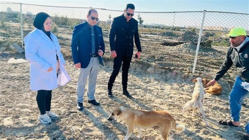 مركز إيواء الكلاب 