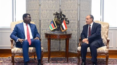 مصر وجنوب السودان تعززان التعاون الإقليمي وتشددان على استقرار القرن الأفريقي (صور)