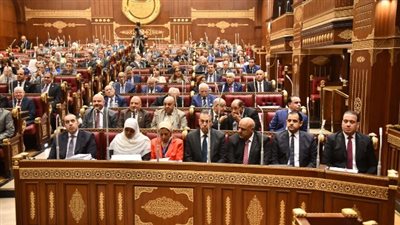 معارضة شديدة لأعضاء مجلس الشيوخ عن المصري الديمقرطي لمشروع تعديل بعض أحكام قانون الكهرباء