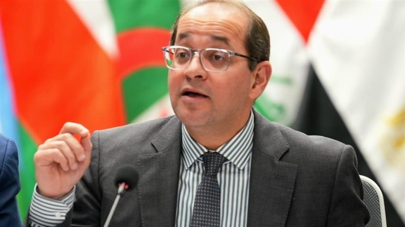 وزير المالية 