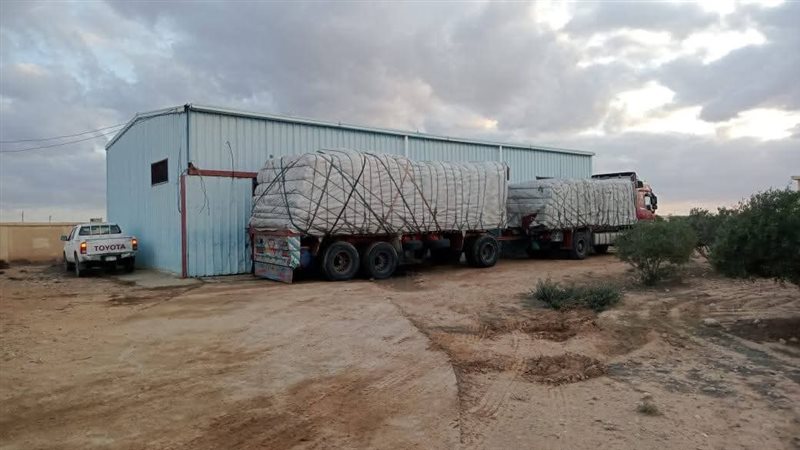 تقاوي زراعية 