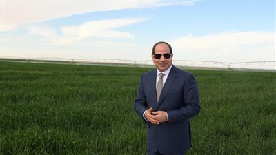 توشكى الخير: إحياء الجنوب باستصلاح الصحراء الواسعة ودعم الأمن الغذائي في 2025
