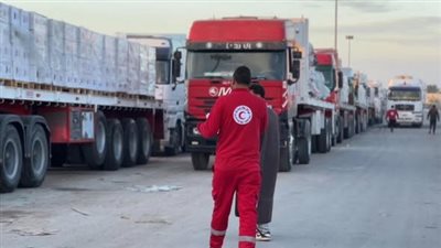 الهلال الأحمر المصري يدفع بنحو 5900 طن مساعدات إنسانية لغزة 