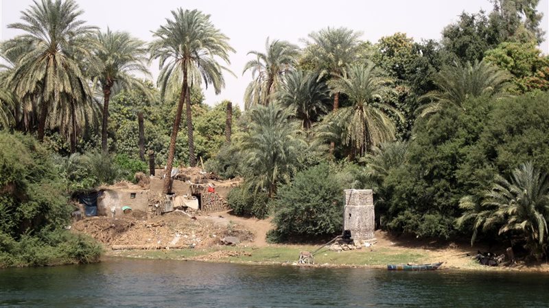 قنا