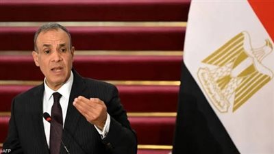 وزير الخارجية: مصر ترفض أي ممارسات من شأنها تقويض وحدة الأراضي الفلسطينية