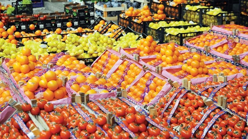 الصادارات الزراعية