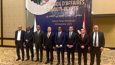 كامل الوزير: زيارة الرئيس السيسي لجيبوتي 2025 تعزز استراتيجية التعاون