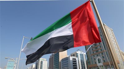 الخارجية الإماراتية تكشف في أول تعليق حقيقة سفن السلاح باليمن