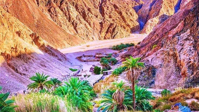 محافظة شمال سيناء