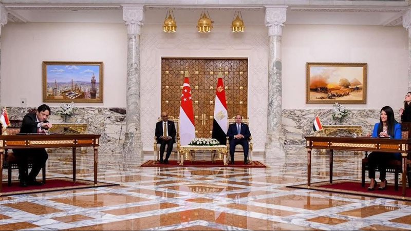 وزيرة التخطيط والتنمية الاقتصادية