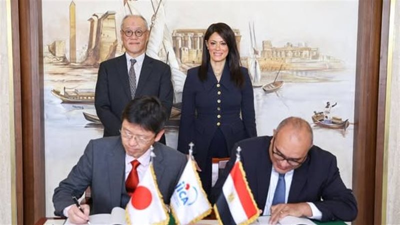 العلاقات المصرية الآسيوية