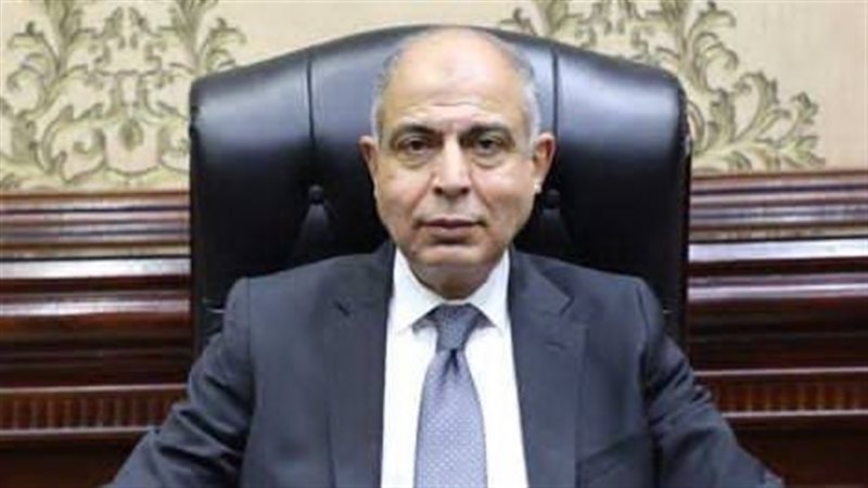 محافظ المنيا