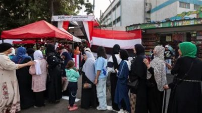 أحزاب تدعو المصريين للتصويت في جولة الإعادة .. ويؤكدون: مسؤولية تجاه الوطن