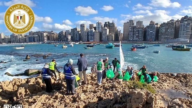 حملة لتنظيف الجزر القريبة من الشواطئ بالإسكندرية 