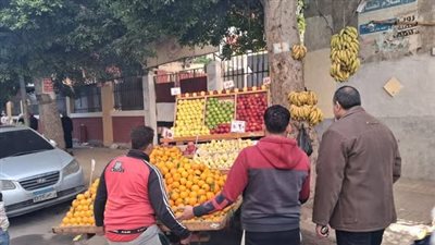 حملة صباحية مكبرة بالإسكندرية تسفر عن رفع 160 إشغالًا وتحصيل 14 ألف غرامات