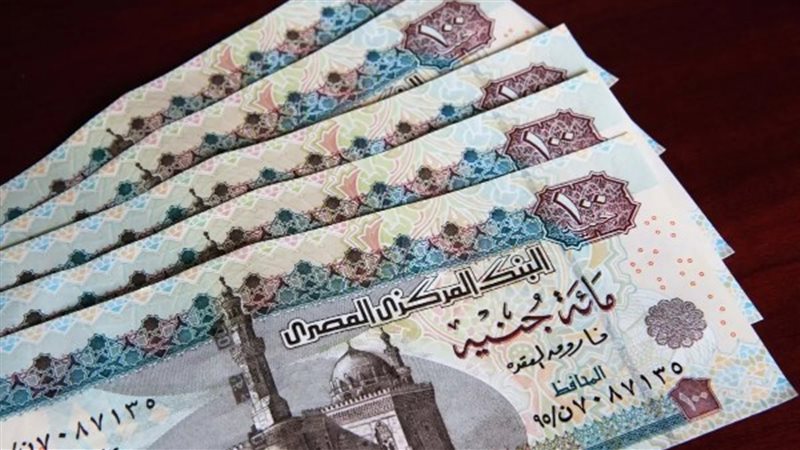 رسميًا صرف منحة عيد الميلاد المجيد للعمالة غير المنتظمة