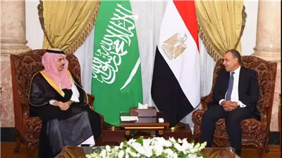 خبير علاقات دولية: مصر والسعودية توحدان الجهود للحفاظ على أمن الدول العربية