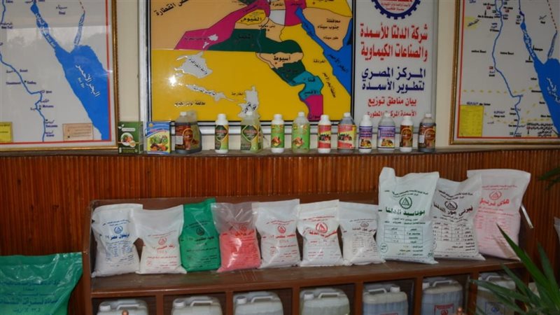 ارشيفية 
