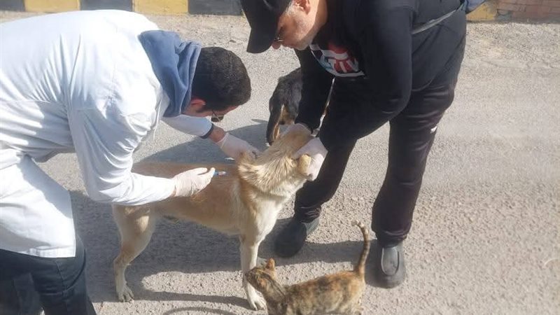 الزراعة 
