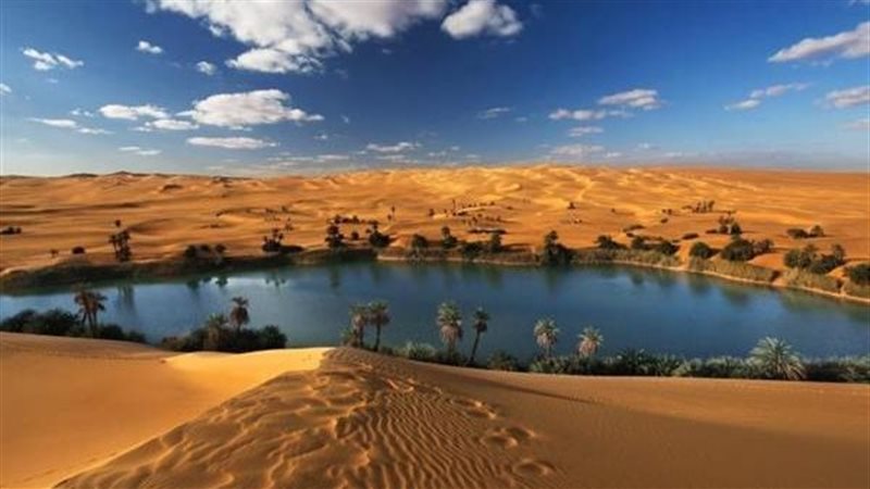 واحات مصر 