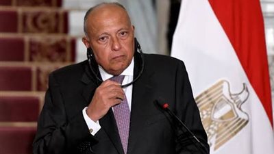 سامح شكري: الأمن القومي العربي امتداد مباشر للأمن المصري والتضامن ضرورة لمواجهة الأزمات