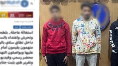 حبس المتهمين بالتحرش والتعدي على سيدة في الجيزة